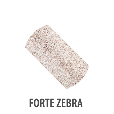 Forte zebra