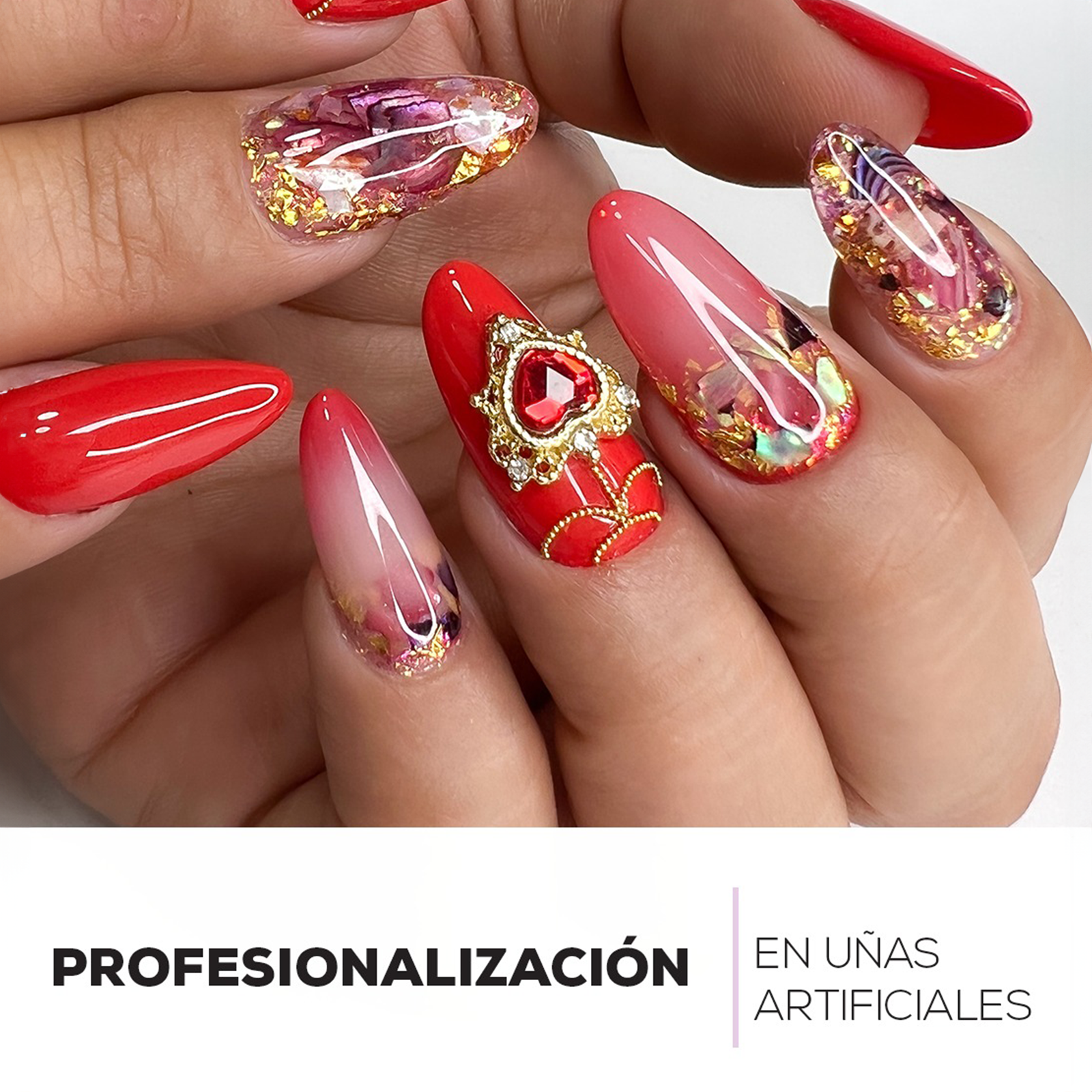 profesionalizacion-port1