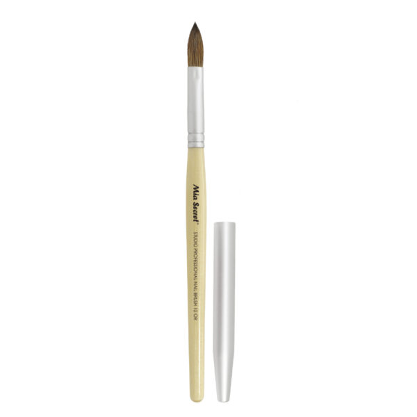 STUDIO PROFESSIONAL BRUSHES NUMERO 10